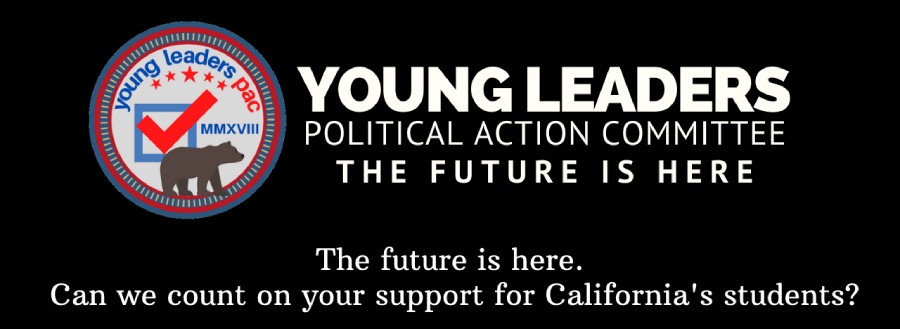 YOUNG LEADERS POLITICAL ACTION COMMITTEE